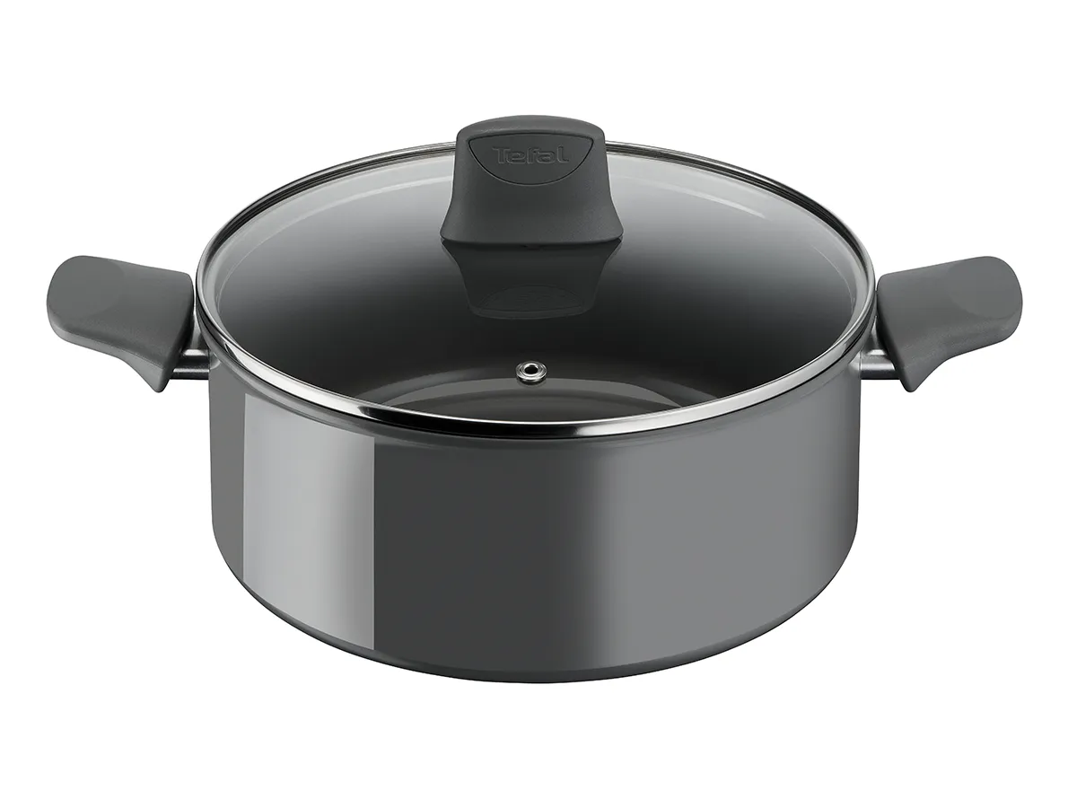 TEFAL Renewal Kattila 24 cm kannellinen Harmaa C4264633