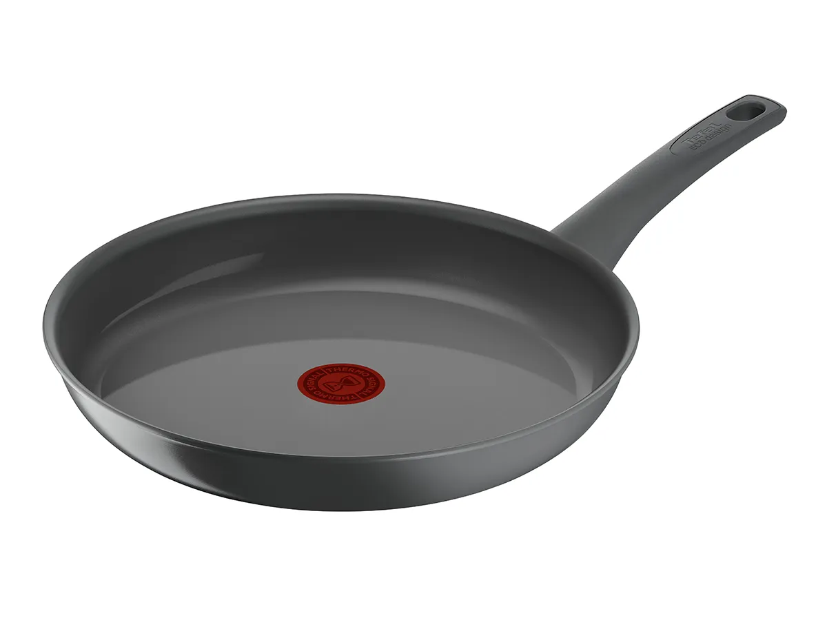 TEFAL Renewal Paistinpannu 28 cm Harmaa C4260653