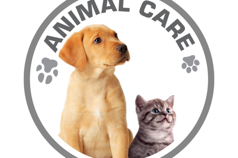 Animal Care