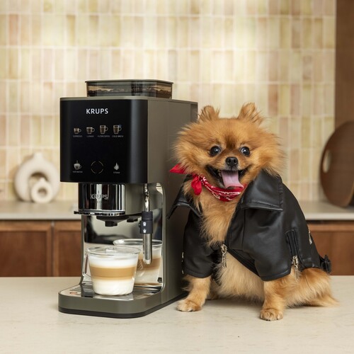 Coffee Crush Experience Chrome, Kahvinkeitin