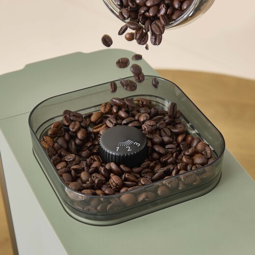 Coffee Crush Lichen, Kahvinkeitin