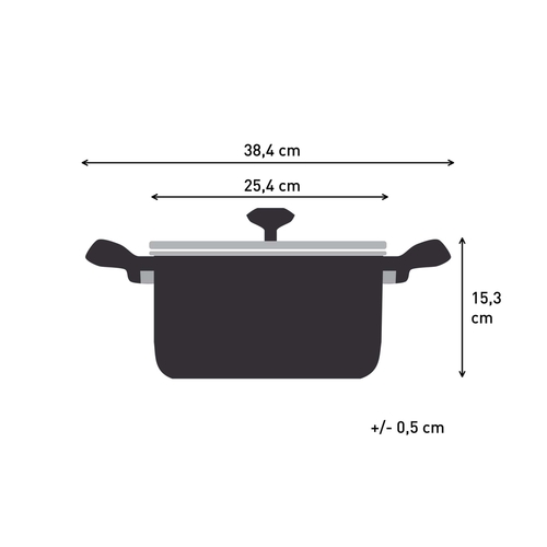 Expertise-kattila 24 cm kannella