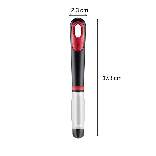 Ingenio Plus Kuorija