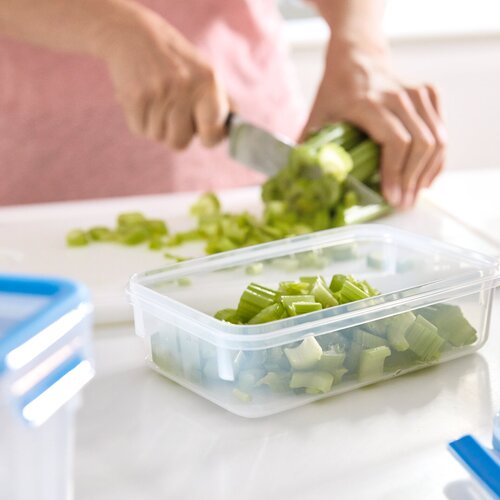 MasterSeal FRESH box 1,0 l Muoviset säilytysrasiat 