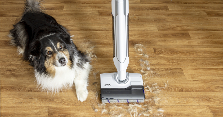 Pölynimuri pesutoiminnolla Pidä kotisi